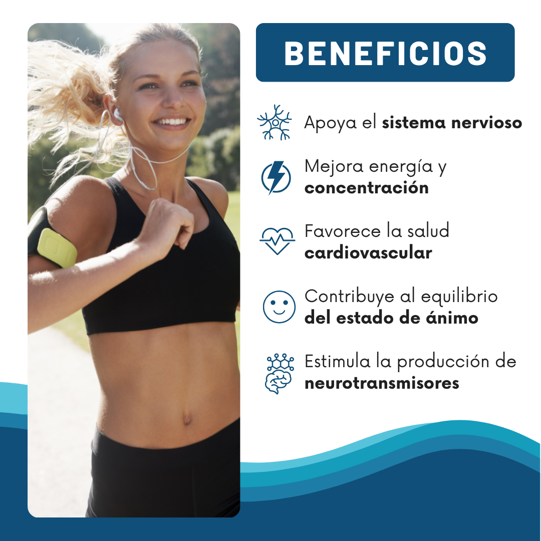 Encabezado